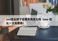 seo优化好了还用天天优化吗（seo 优化一个月费用）