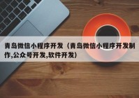 青岛微信小程序开发（青岛微信小程序开发制作,公众号开发,软件开发）