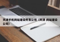 天津手机网站建设开发公司（天津 网站建设公司）